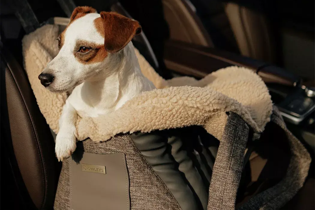 puppy car seat