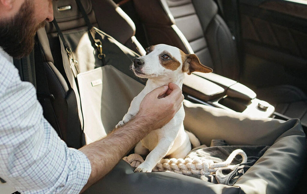 dog car seat