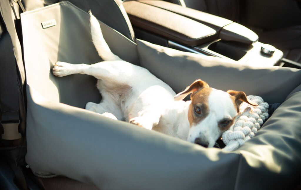 dog car booster seat