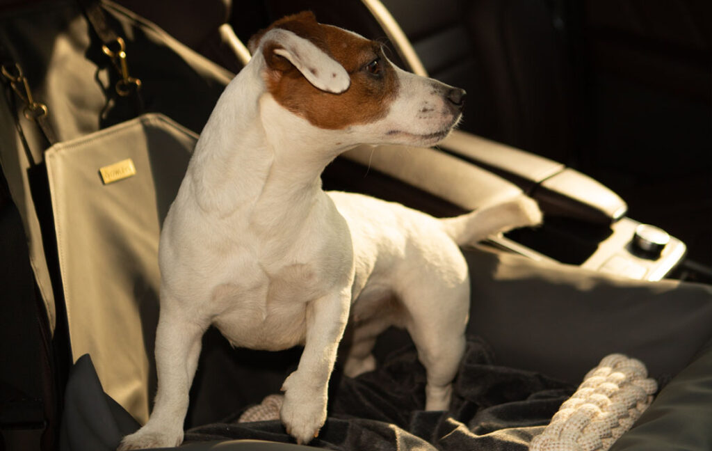 dog car booster seat