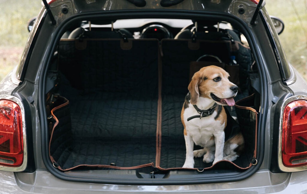 dog car seat covers